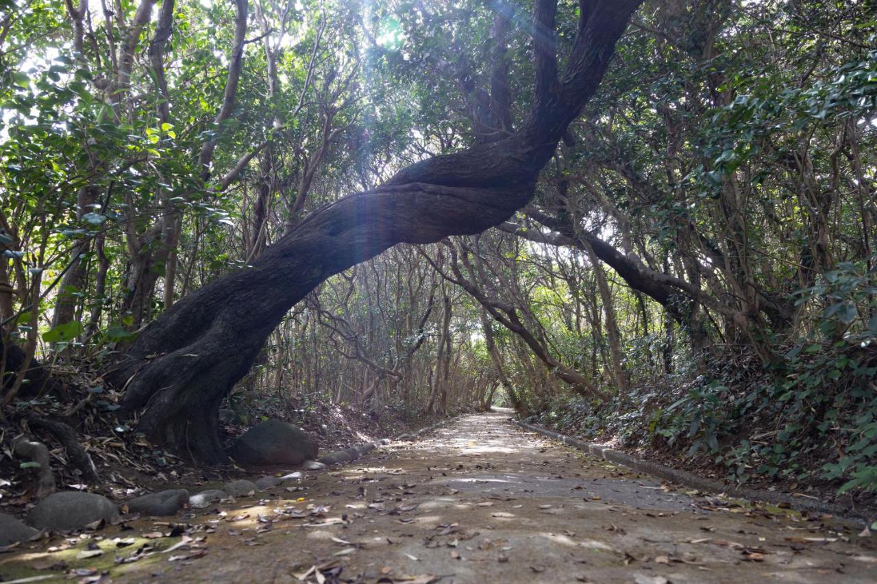 Tosashimizu Themana Village מראה חיצוני תמונה